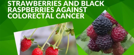Strawberries and black raspberries against colorectal cancer: functional nutrition insights from the United States