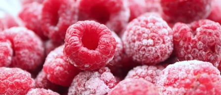 Hepatitis A and berries: risks, ISS data and practical safety advice-image