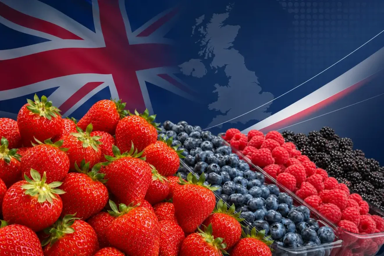 UK: strawberries on top of the fresh produce aisle-image