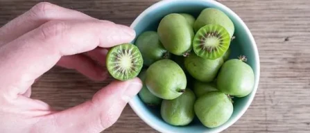 Kiwi berry: the healthy summer snack gaining traction in German retail despite price and seasonal issues-image