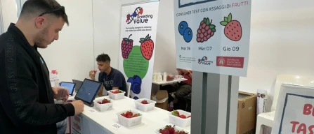1780 consumer test di CNR-IBE disegnano fragola, lampone e mirtillo ideale-image
