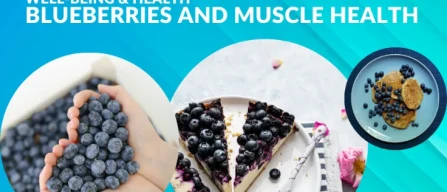 Blueberries and muscle health: the enriched diet that may support cellular regeneration-image