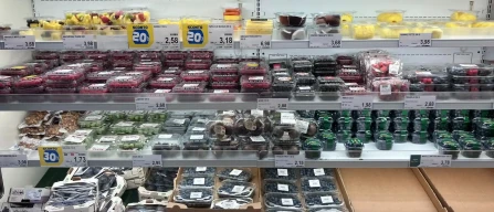 Berry market in Bologna: strong assortments, improving quality and stable prices-image