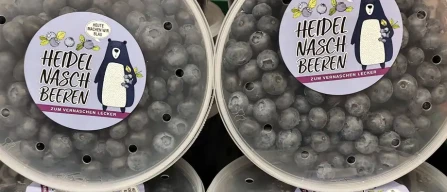 From volume to trust: how to drive sustainable blueberry growth, according to Christoph Stricker (Edeka / Everest Fresh)-image