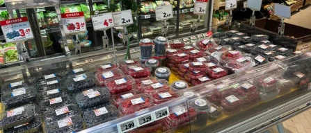 Berries in Turin retail stores: wide assortment, good quality and low prices in urban retail-image