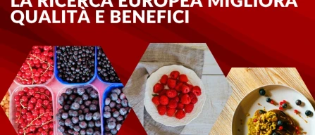 Frutti di bosco, salute e sostenibilità: la ricerca europea migliora qualità e benefici-image