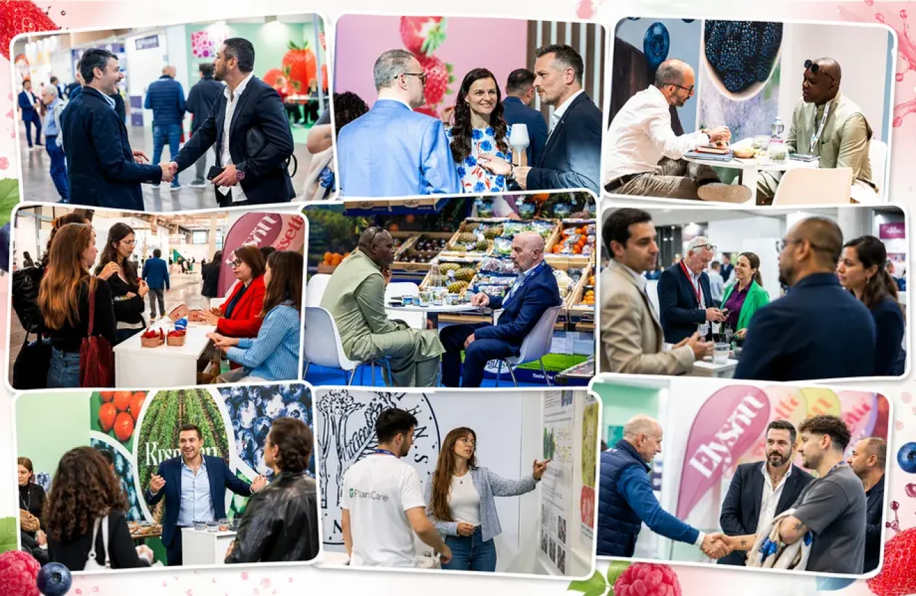 Alla Berry Area è esplosa l'Happy Hour dei piccoli frutti-image